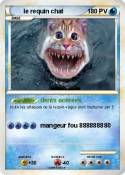 le requin chat