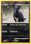 loup noir crois
