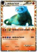 rainbow ferret