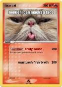 taco cat
