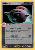 roi boo ex 1