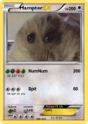 Hampter