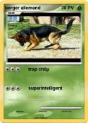 berger allemand