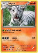 big cat