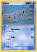 Ameba