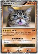 Cat seeker