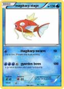 magikarp stage