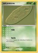 soil protozoa