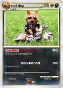 cool dog