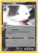 chatton ex 1000