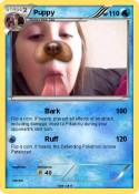 Puppy