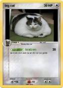 big cat