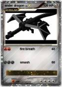 ender dragon