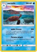 sea turtle