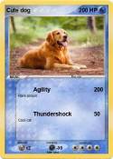 Cute dog