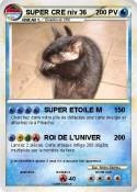 SUPER CRE niv