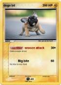dogo bil