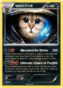 space-X-cat