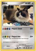 Paipai