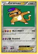 Cat wreaks