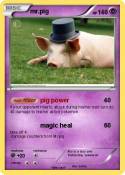 mr.pig