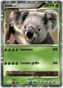 koala