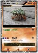 Hermit Crab