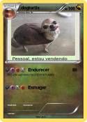 dogtortle