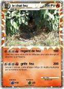 le chat feu