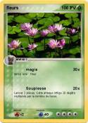 fleurs