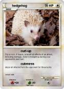 hedgehog