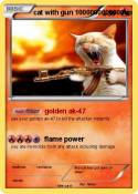 cat with gun