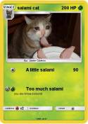 salami cat