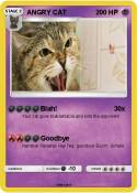 ANGRY CAT