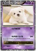 IS THIS CUTE?