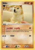 Shibe