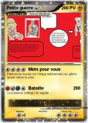 Petite guerre
