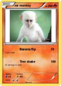 mr monkey