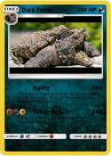 Dark Turtle