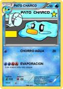 PATO CHARCO