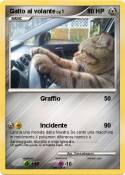 Gatto al volant