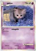 gattino