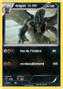 dragon lv.100