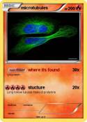 microtubules