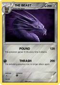 THE BEAST