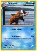 sharkbear