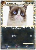 grumpy cat