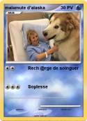 malamute d'alas