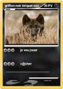 griffon noir