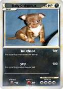 Baby Chihuahua